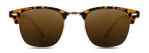 Steam Glossy-Tortoise Brown Polarized